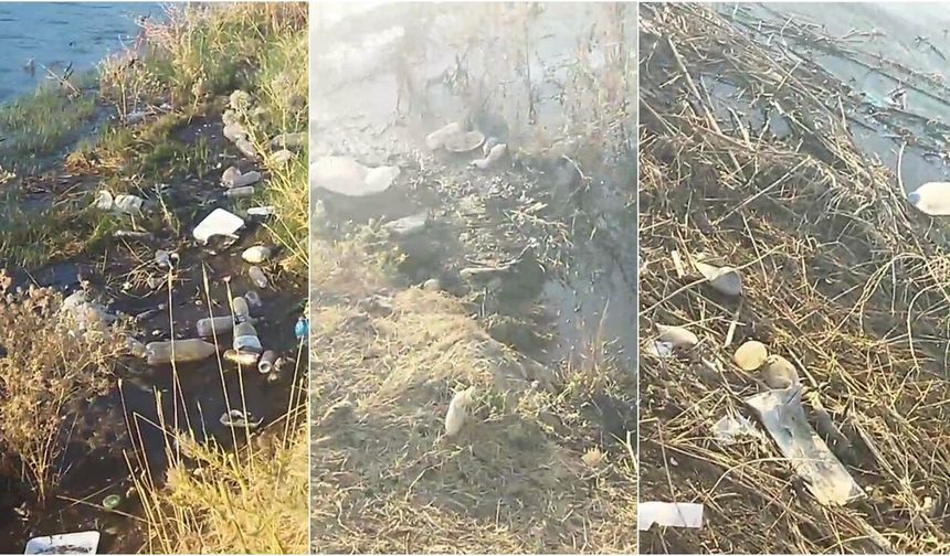 Diyarbakır'da vatandaşların tepkisi: Dicle Barajı çöplerle kirletiliyor