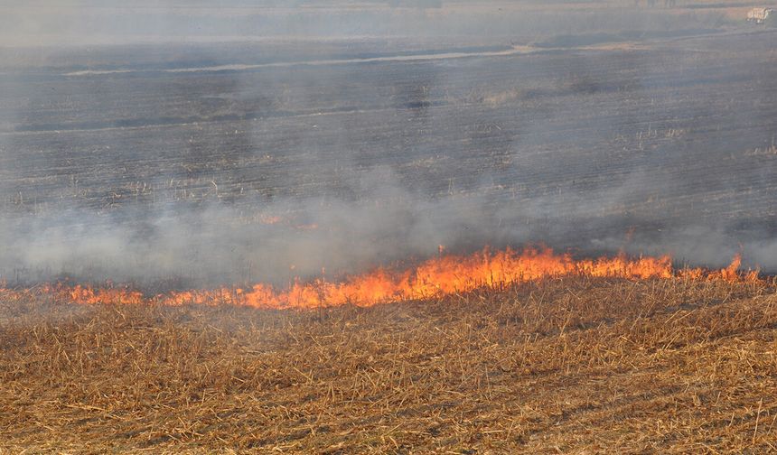 Diyarbakır'da anız yangınları ile ilgili önemli gelişme