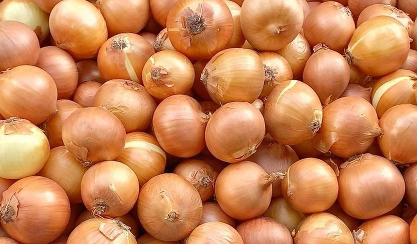 Eskiden çuvalla alınıyordu, şimdi tane tane... Kilogram fiyatı şaşırttı