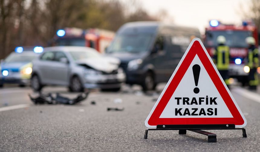 Danıştay'dan trafik cezalarına emsal karar
