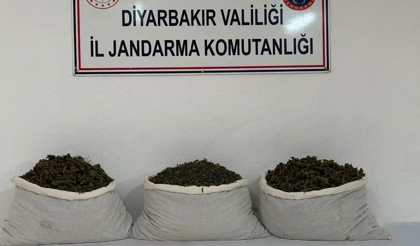Diyarbakır'da narkotik operasyonu: 107 kilogram esrar ele geçirildi