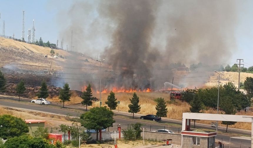 Diyarbakır'da yerleşim yerine yakın otluk alanda yangın
