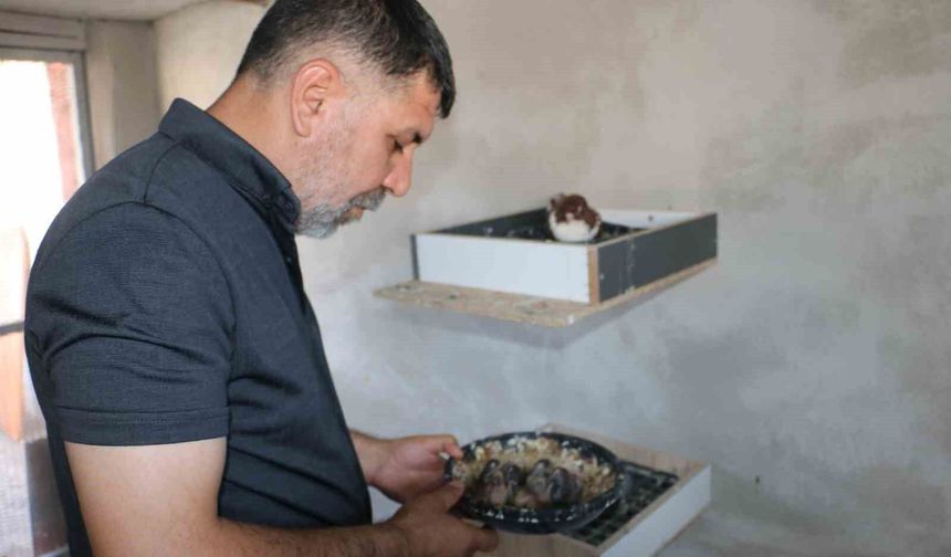 Diyarbakır'da yanan güvercin oteli yeniden kapılarını açtı