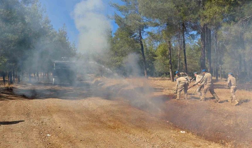 Kilis'te orman yangınlarına karşı devriyeler artırıldı