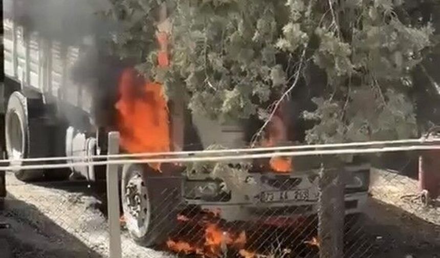 Mardin'de park halindeki kamyon yandı