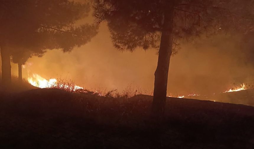 Siirt'te mezarlıkta çıkan yangın itfaiye ekiplerince söndürüldü