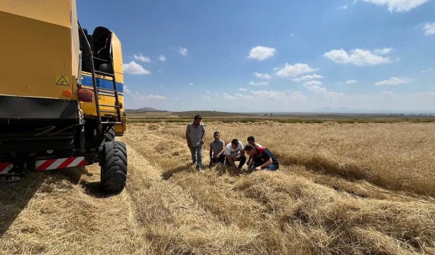 Biçerdöverler mercek altında; Hububat hasadında sıkı denetim