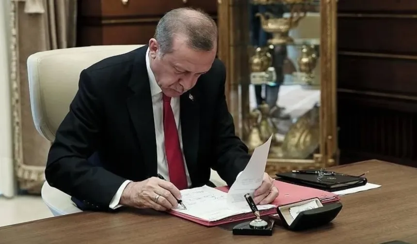 "Çerçeve yasa" Resmî Gazete'de yayımlandı, Resmen yürürlükte
