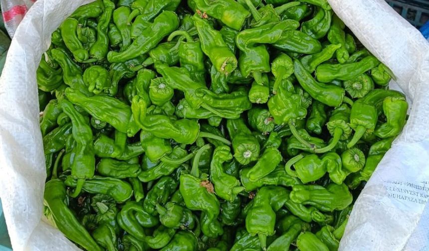 Diyarbakır'ın tescilli ürününde büyük fiyat çöküşü: Bir zamanlar 450 liraydı