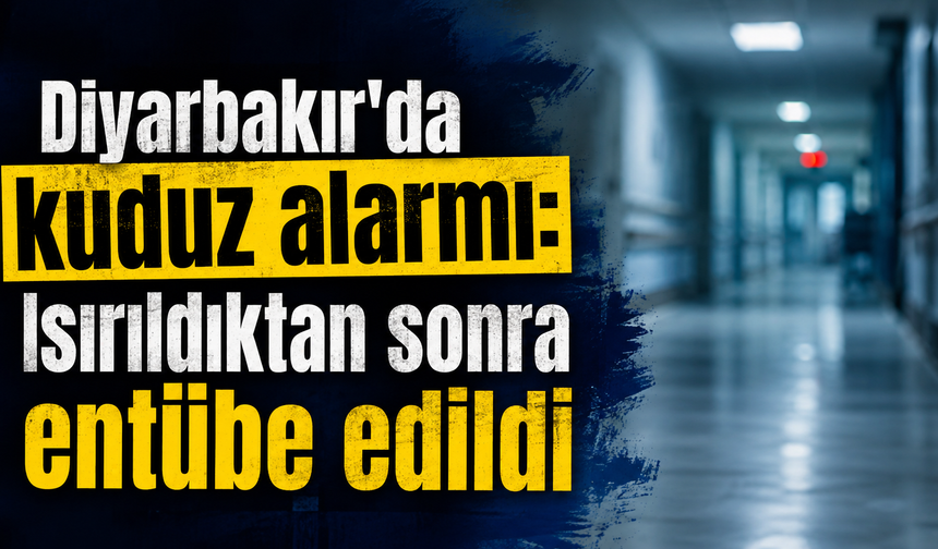 Diyarbakır'da kedi kuduz çıktı: Isırılan çocuk entübe edildi