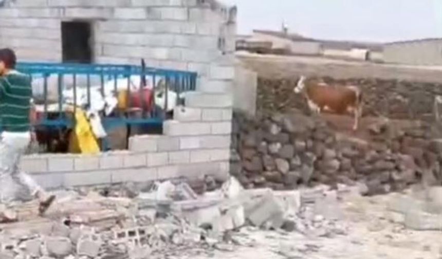 Diyarbakır'da şiddetli rüzgar ahırı yıktı: 2 yaralı