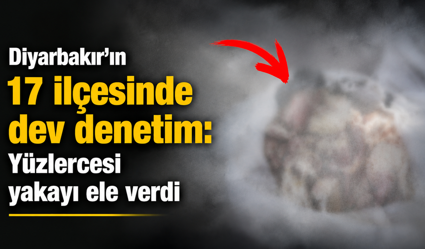 Diyarbakır'ın 17 ilçesinde dev denetim: Yüzlercesi yakayı ele verdi