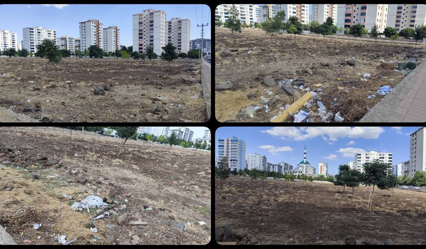 Diyarbakır'ın gözde bölgesinde çöl manzarası: Mahalleli yeşil alan istiyor