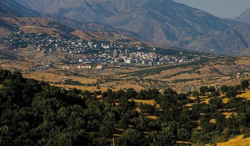 Kulp'ta dev arazi yatırıma açılıyor: Başvurular için son tarih belli oldu