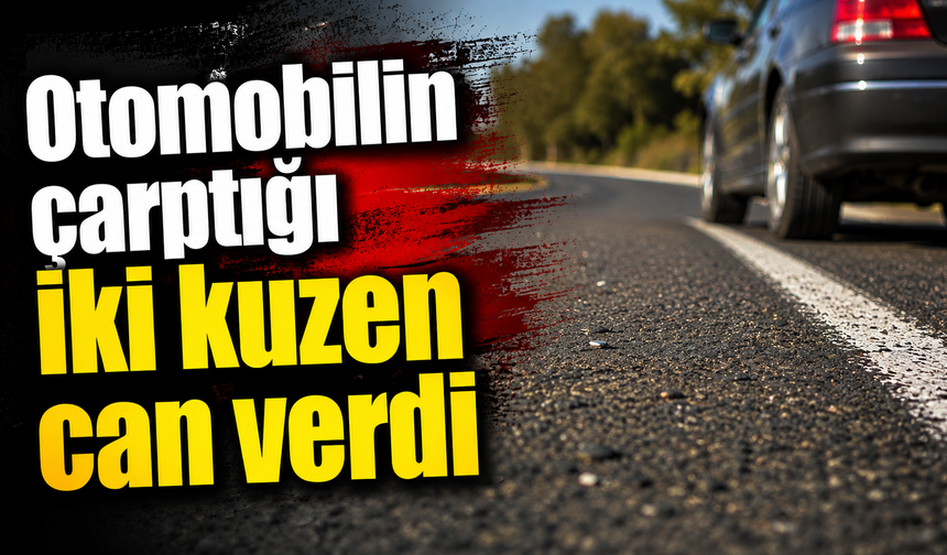 Kurtalan'da otomobilin çarptığı iki kuzen can verdi