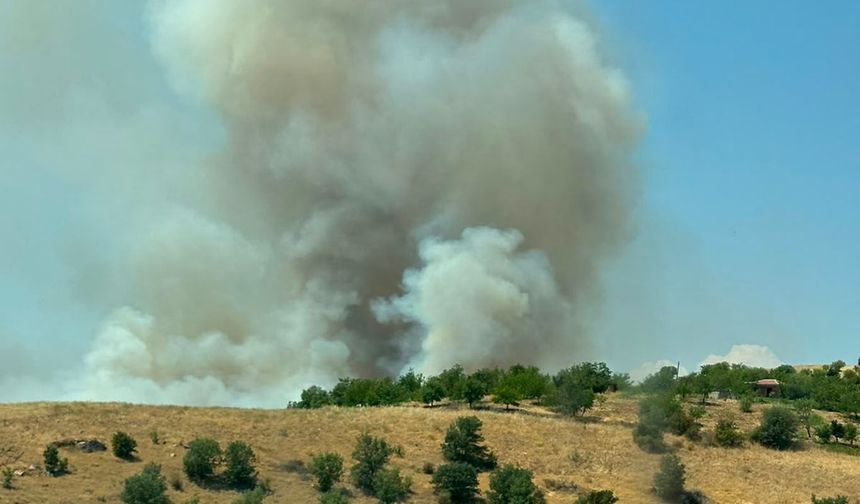 Malatya'da geniş alana yayılan orman ve örtü yangınına müdahale ediliyor