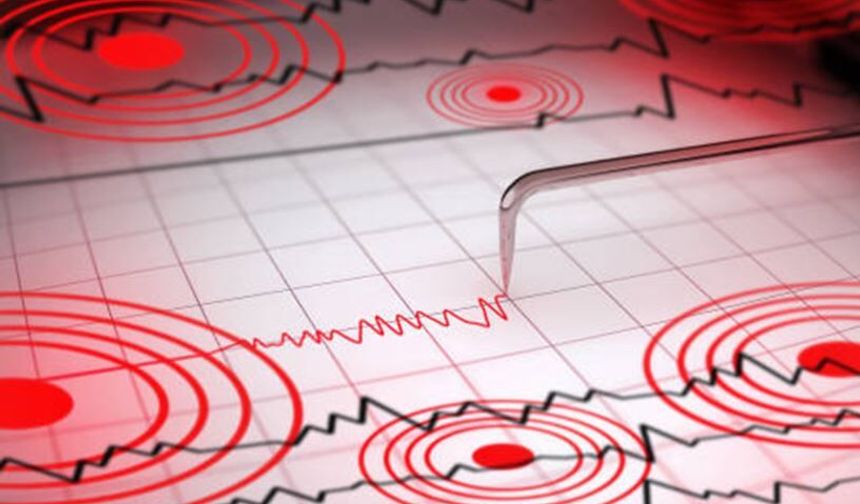 Marmara'da 50'ye yakın mikro deprem; Dikkat çeken uyarı