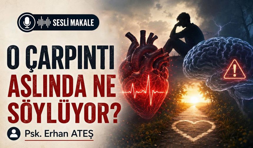 O ÇARPINTI ASLINDA NE SÖYLÜYOR?