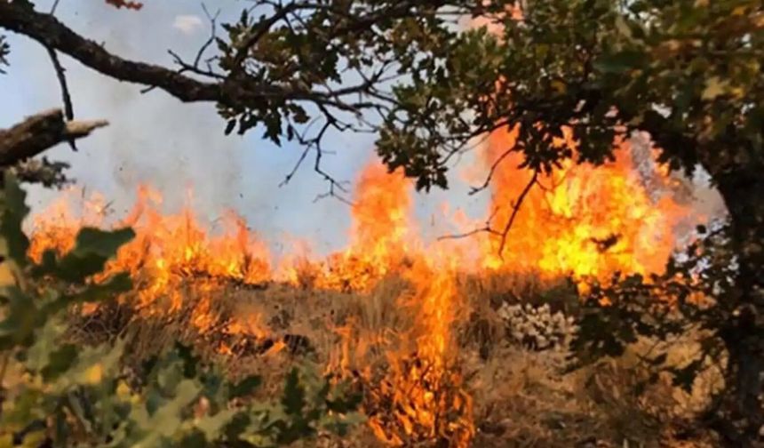 OGM'den Diyarbakır için yüksek orman yangını riski uyarısı