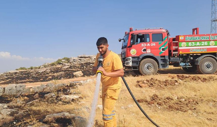 Diyarbakır'da yaklaşık 400 dönüm alan küle döndü