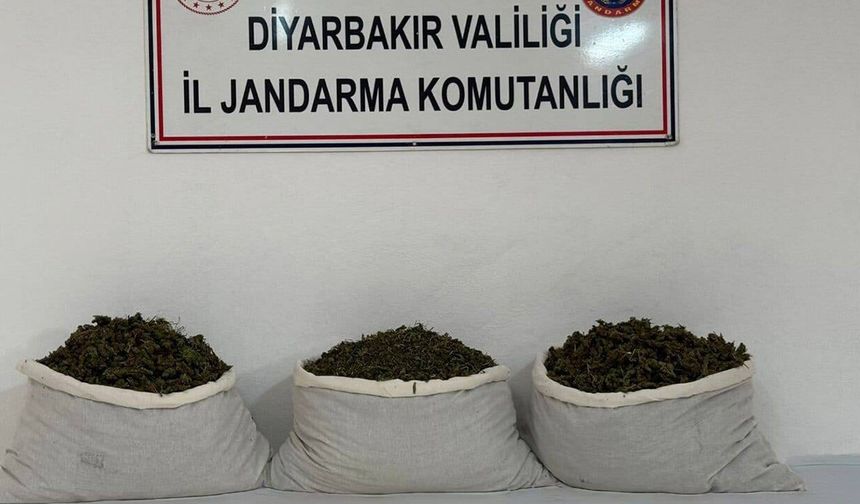 Diyarbakır’da narkotik operasyonları