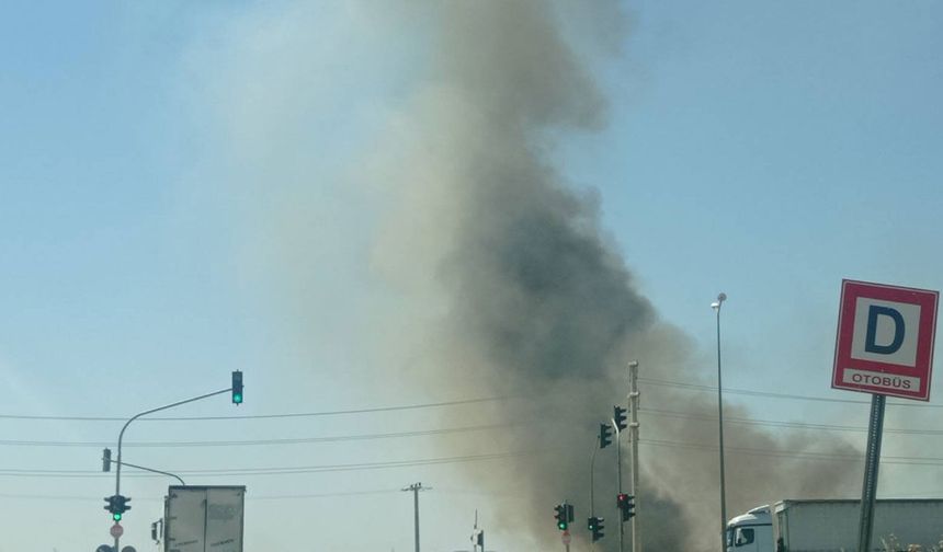 Diyarbakır'da çıkan örtü ve anız yangını kontrol altına alındı