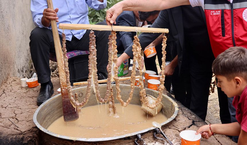 Dicle'de asırlık bağbozumu geleneği
