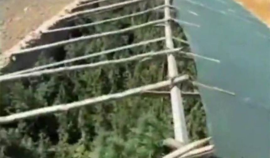 Ergani’de mini sera kurup kenevir yetiştirmişler