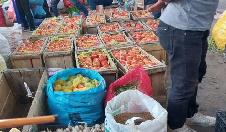 Çüngüş’e has domatesin hasadı başladı: Kilosu ne kadar?