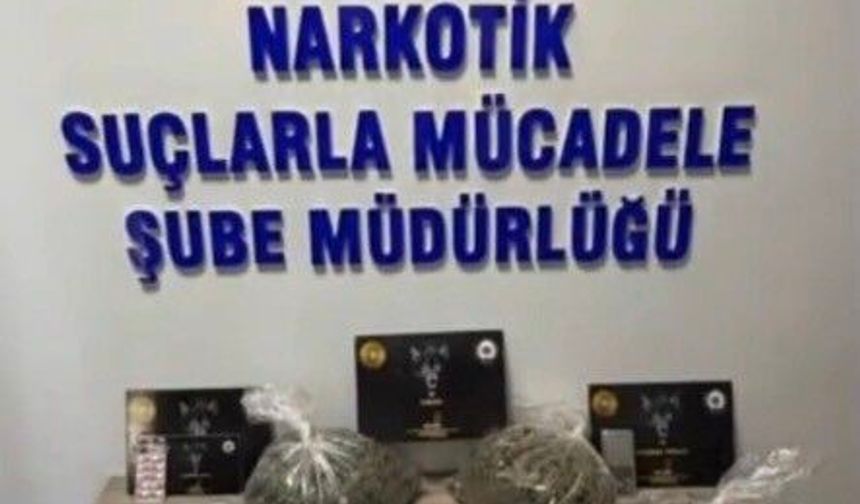 Bingöl'de polis operasyonu: 43 şüpheli yakalandı