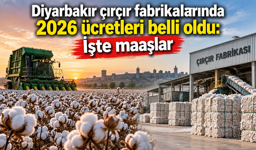 Diyarbakır çırçır fabrikalarında 2026 ücretleri belli oldu: İşte maaşlar