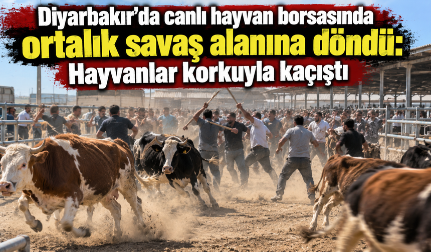 Diyarbakır'da hayvan borsası bir anda karıştı! Hayvanlar korkuyla kaçıştı