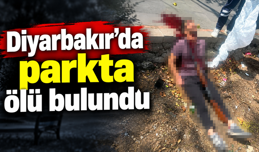 Diyarbakır'da parkta tüfekle kendini vuran şahıs öldü