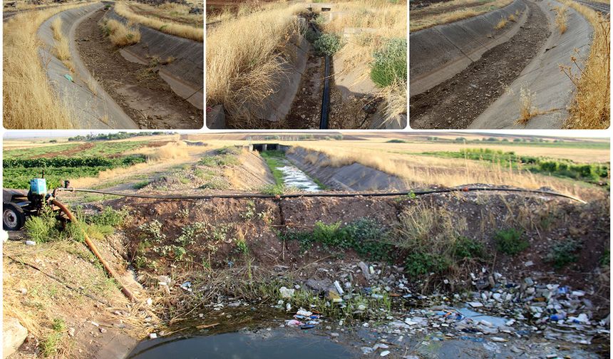 Ergani Ovası'nda 11 mahalle sulama suyu bekliyor