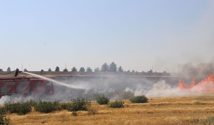Diyarbakır'da rüzgarın etkisiyle hızla yayılan anız yangını söndürüldü