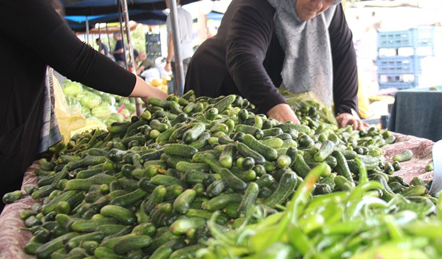 Diyarbakır'da pazarlarda turşuluk mesaisi başladı