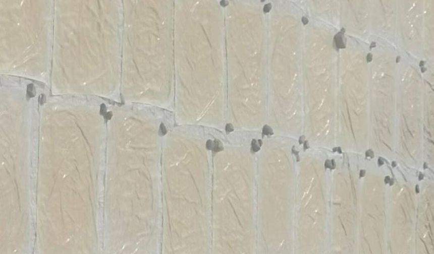 Çermik'te pestil yapımına başlandı