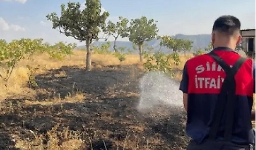 Siirt'te 33 fıstık ağacı ile onlarca meyve ağacı yangında zarar gördü