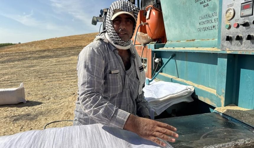 Tarlada 2,50 lira, besicide 7 lira: Samanın Diyarbakır'daki fiyat yolculuğu