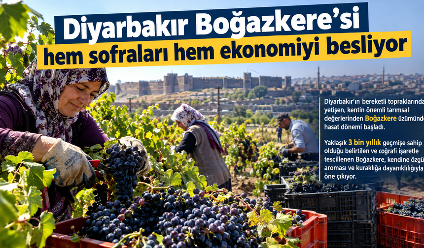 Diyarbakır Boğazkere'si hem sofraları hem ekonomiyi besliyor