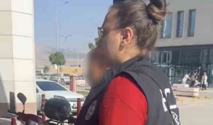 Kediye taşla vuran kadın gözaltına alındı