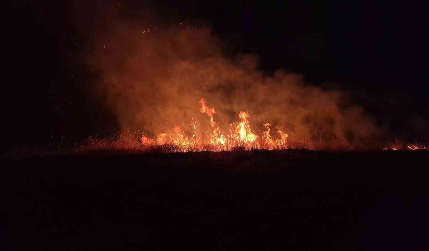 Adıyaman'da anız yangını