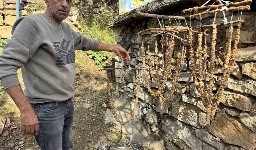 Diyarbakır'da bağ bozumu başladı