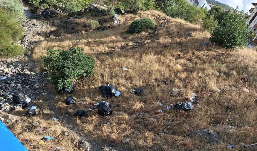 Tarihi Haburman Köprüsü civarına dökülen çöpler tepkiye neden oldu