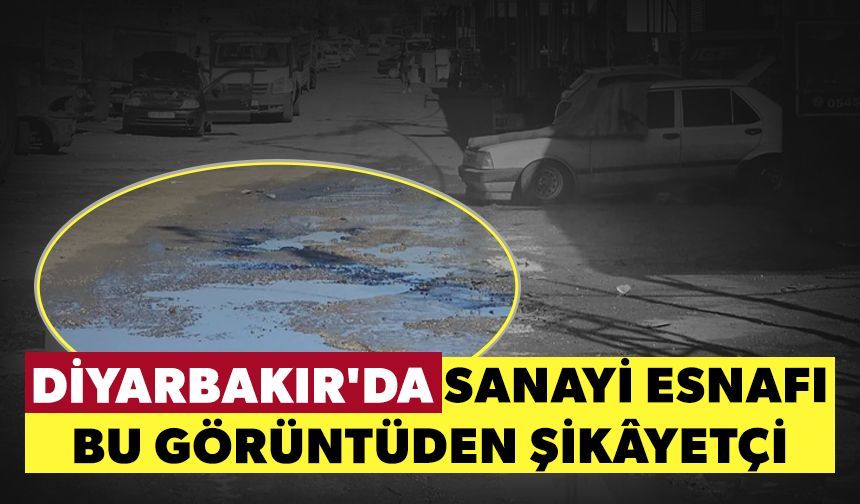 Diyarbakır'da sanayi esnafı bozuk yollardan şikâyetçi
