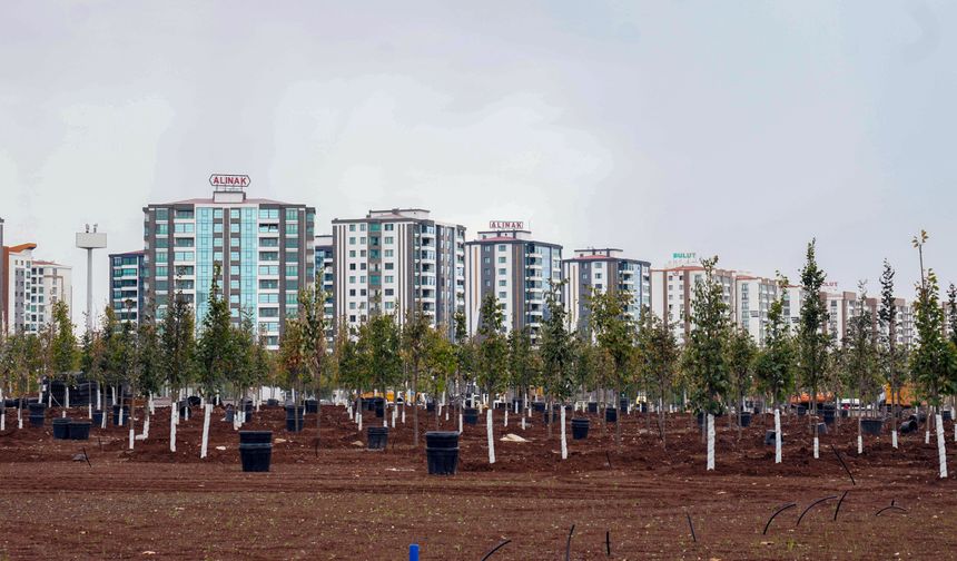 Diyarbakır’da yıl sonuna kadar 580 bin metrekare yeşillendirilecek