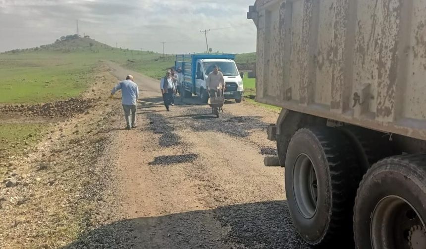 Diyarbakır'da defalarca çağrı yaptılar, çözümü kendileri buldular