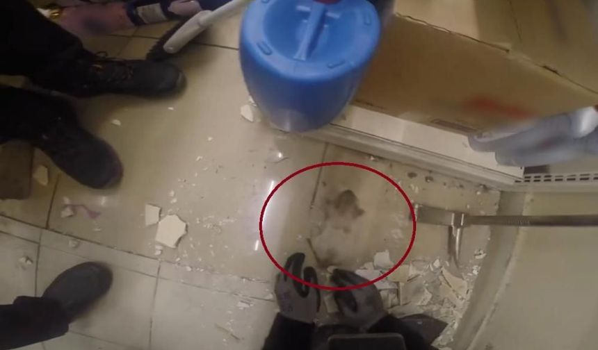 Diyarbakır'da demir profile sıkışan yavru kedi kurtarıldı
