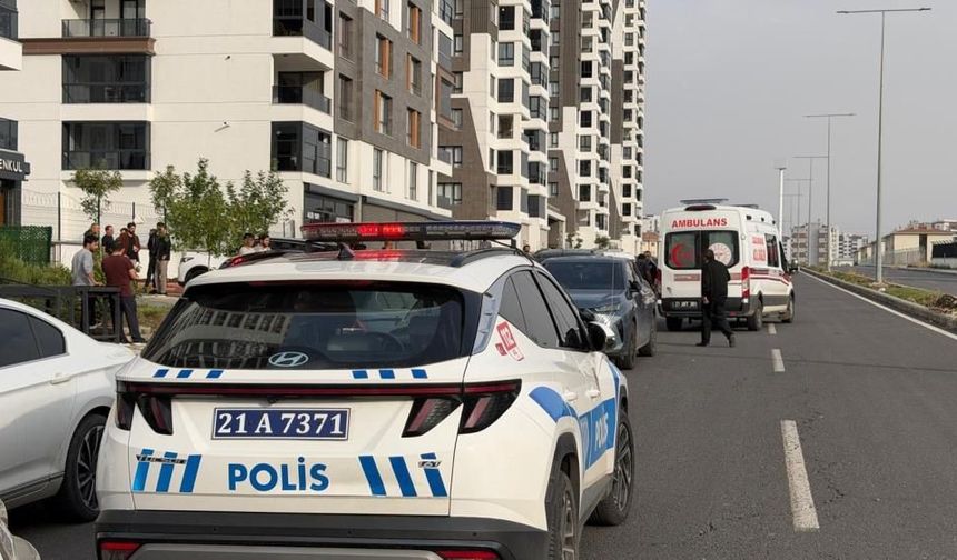 Diyarbakır'da gergin anlar: 2 kişi hastanelik oldu