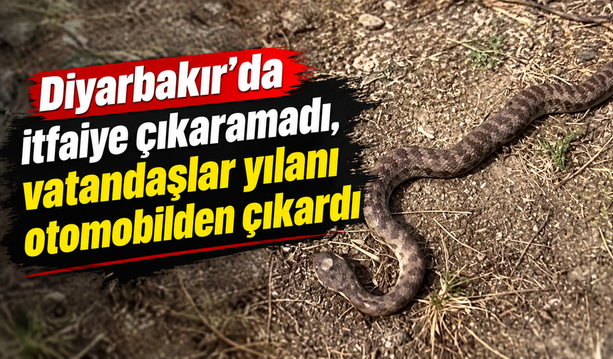Diyarbakır'da itfaiye çıkaramadı, vatandaşlar yılanı otomobilden çıkardı